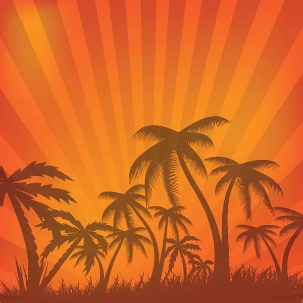 yaz günü geçmiş palmiye ağacı ile.