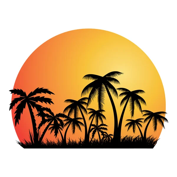 Fondo de vacaciones de verano.Banner tropical . — Archivo Imágenes Vectoriales