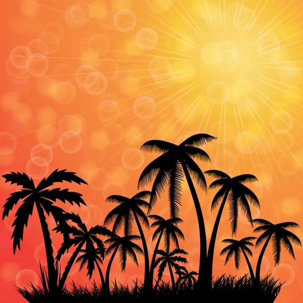 Fondo de vacaciones de verano.Banner tropical . — Archivo Imágenes Vectoriales