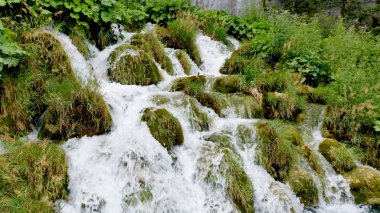 Şelalenin plitvice Milli Parkı, Hırvatistan