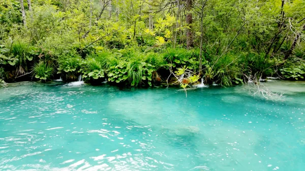 Bellissimo paesaggio nel Parco Nazionale dei Laghi di Plitvice in Croazia — Foto Stock