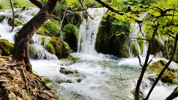 Cascate nel Parco Nazionale di Plitvice, Croazia — Foto Stock