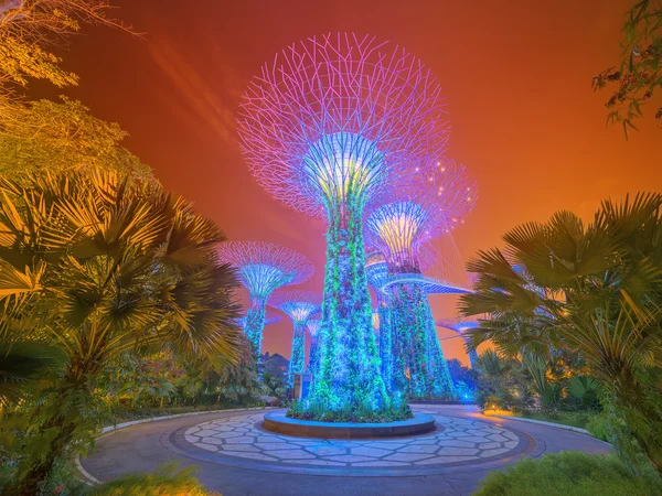Night view of The Supertree Grove at Gardens near Marina Bay. — 스톡 사진