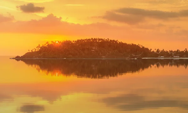 Romantischer unberührter tropischer Strand bei Sonnenuntergang, sri lanka — Stockfoto
