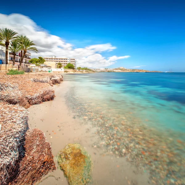 Παράδεισος παραλία στο νησί της Ίμπιζα, με το γαλάζιο του ουρανού — Φωτογραφία Αρχείου