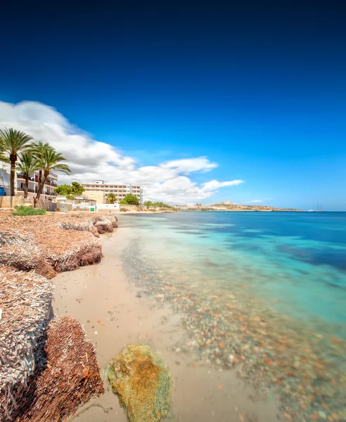 Paradijs strand in ibiza eiland met blauwe hemel — Stockfoto