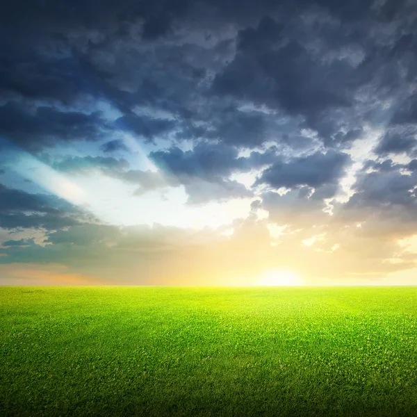 Feld aus grünem Gras und Himmel — Stockfoto