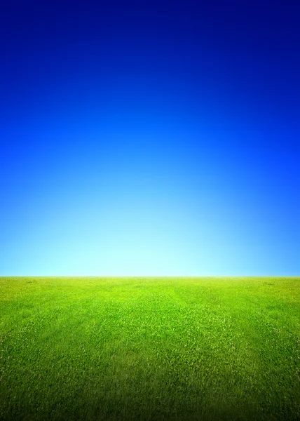 Pole zelené trávy a obloha — Stock fotografie