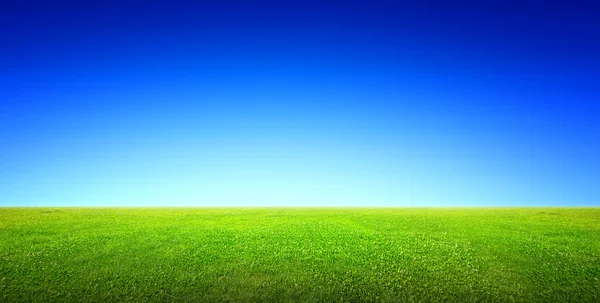 Field of green grass and sky — Stock Photo, Image