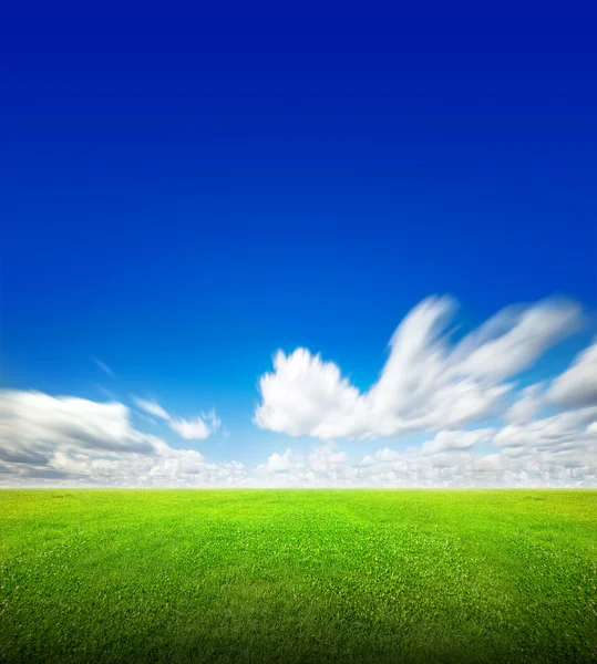 Field of green grass and sky — Stock Photo, Image