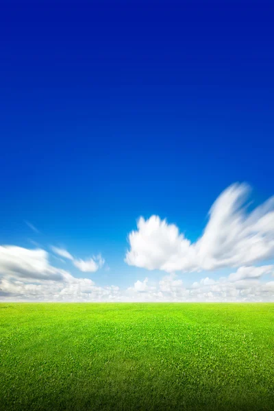 Feld aus grünem Gras und Himmel — Stockfoto