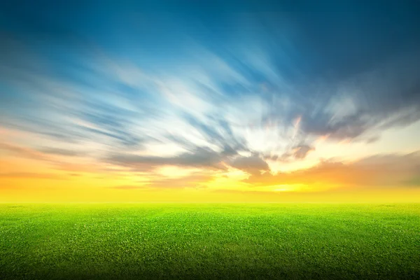 Field of green grass and sky — Stock Photo, Image