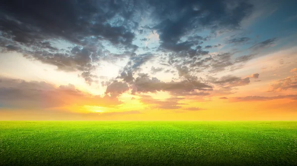 Campo di erba verde e cielo — Foto Stock