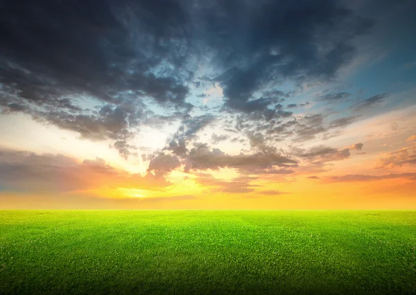 Feld aus grünem Gras und Himmel — Stockfoto
