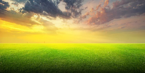 Feld aus grünem Gras und Himmel — Stockfoto