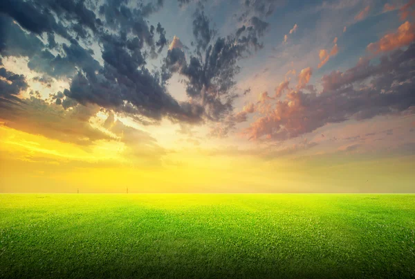 Feld aus grünem Gras und Himmel — Stockfoto