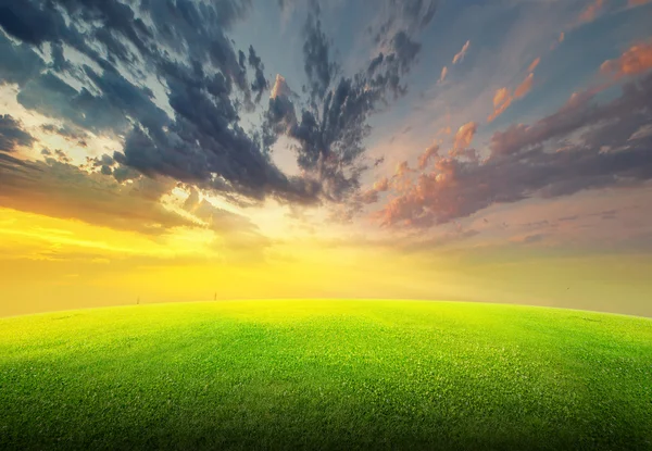 Feld aus grünem Gras und Himmel — Stockfoto