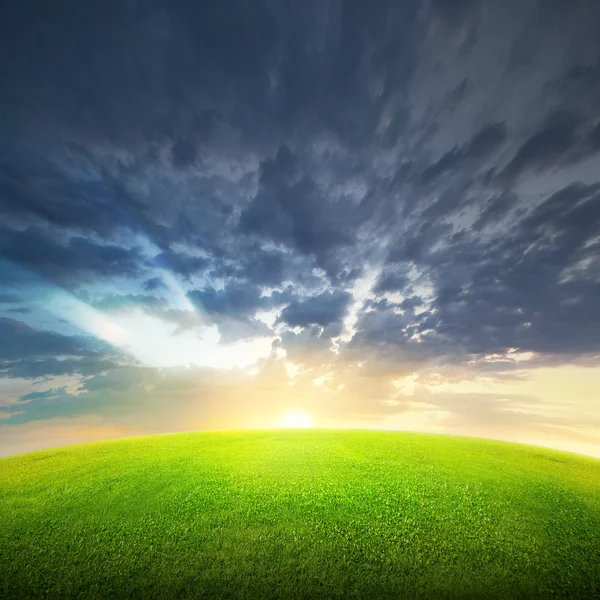 Feld aus grünem Gras und Himmel — Stockfoto