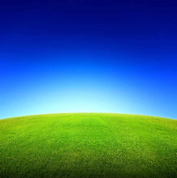 Field of green grass and sky — Stock Photo, Image