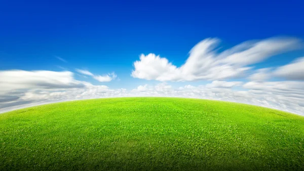 Campo de hierba verde y cielo —  Fotos de Stock