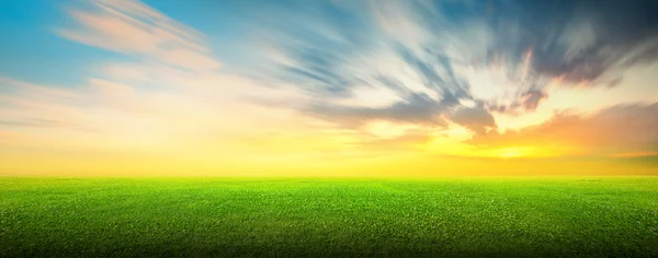 Campo de hierba verde y cielo — Foto de Stock