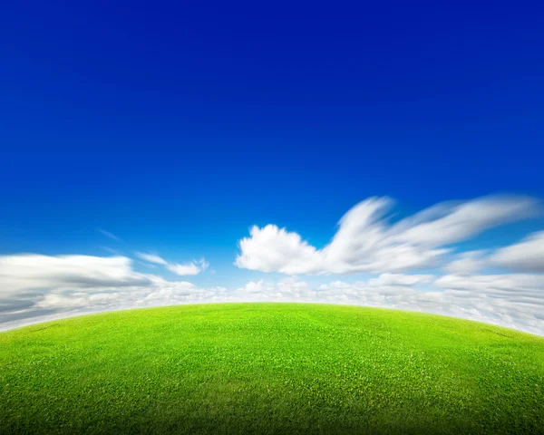 Field of green grass and sky — Stock Photo, Image