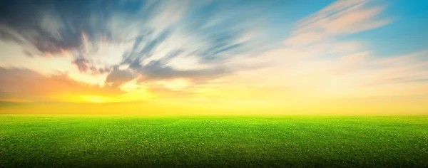 Field of green grass and sky — Stock Photo, Image