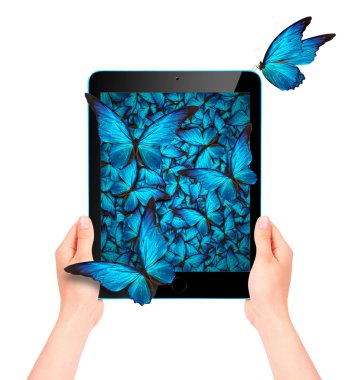 tablet bilgisayarınızdan dışarı uçan kelebek