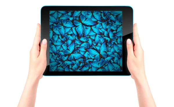 Butterfly flying out from tablet computer — Stock Photo, Image