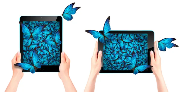 Butterfly flying out from tablet computer — Stock Photo, Image