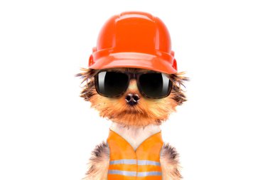 köpek üreticisi olarak giyinmiş