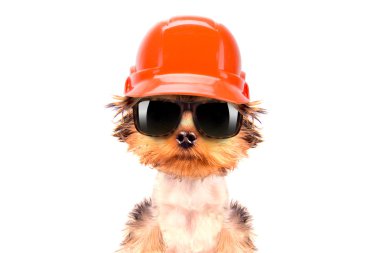 köpek üreticisi olarak giyinmiş