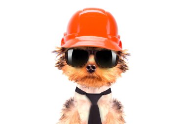 köpek üreticisi olarak giyinmiş