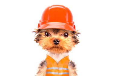 köpek üreticisi olarak giyinmiş