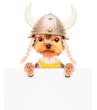 köpek kılığına girmiş bir viking afiş olarak