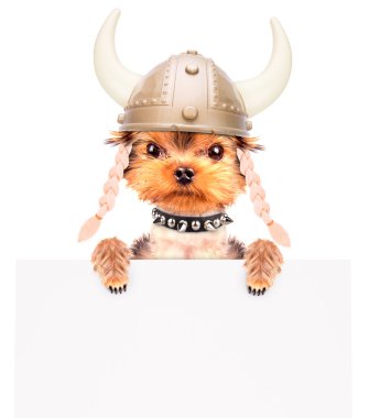 köpek kılığına girmiş bir viking afiş olarak