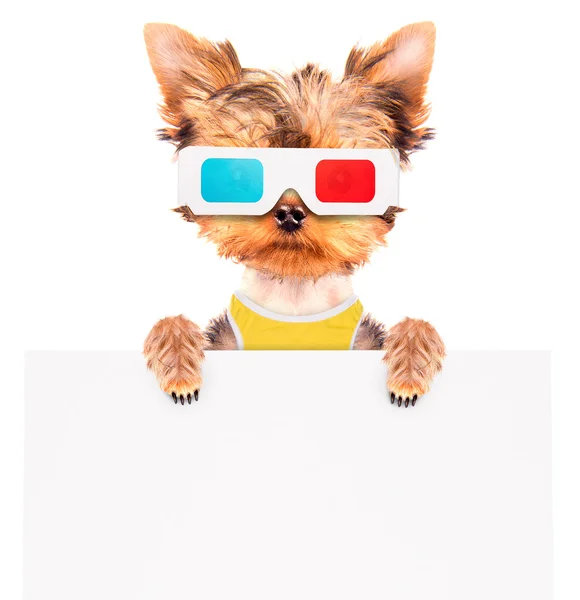 Hund geht mit Transparent ins Kino — Stockfoto