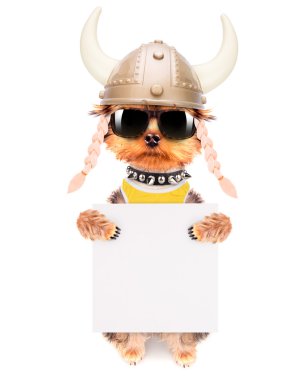 köpek kılığına girmiş bir viking afiş olarak