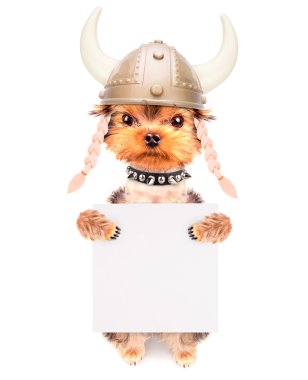 köpek kılığına girmiş bir viking afiş olarak