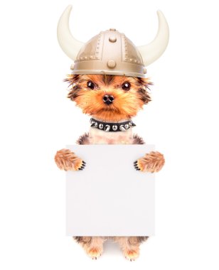 köpek kılığına girmiş bir viking afiş olarak