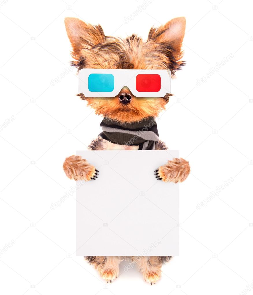 dog going to the movies with banner