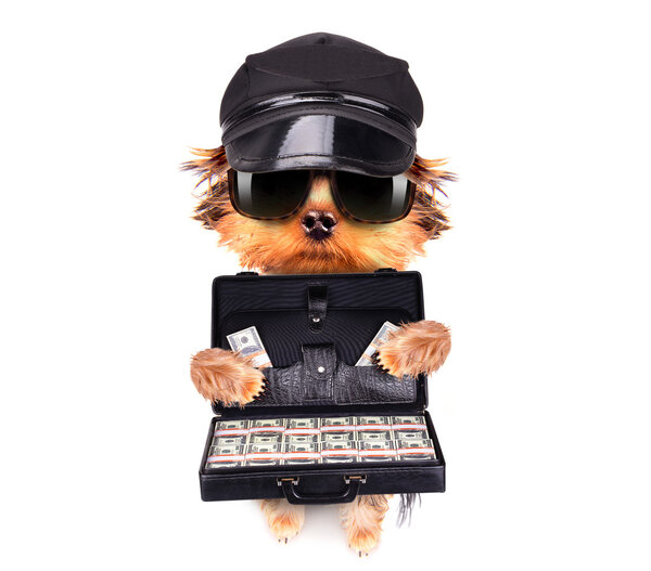 Чемодан с деньгами
