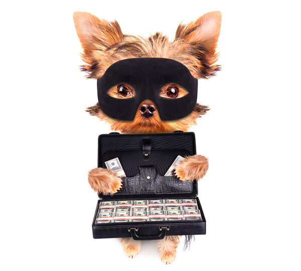 Чемодан с деньгами
