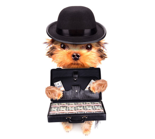 Чемодан с деньгами
