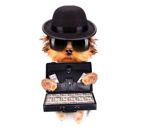 Чемодан с деньгами
