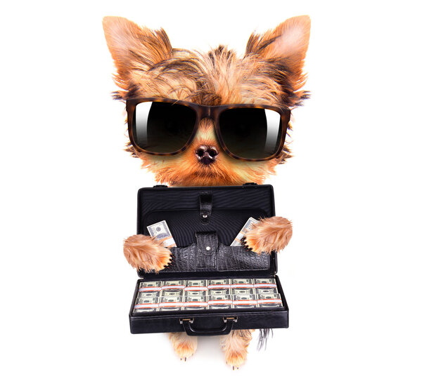 Чемодан с деньгами
