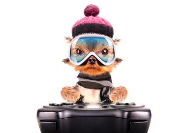 oyun pedi oyunundan kayakçı köpek kostümü