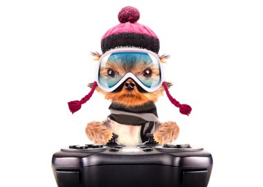oyun pedi oyunundan kayakçı köpek kostümü