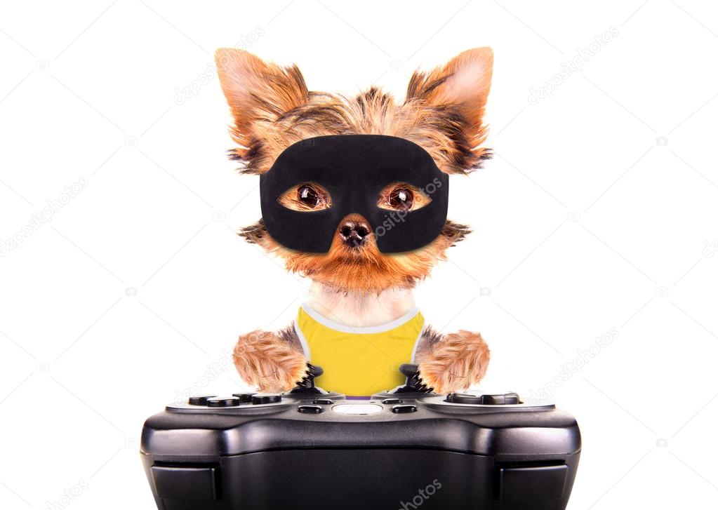 super hero puppy dog play on game pad