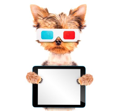 tablet pc ile film olacak köpek